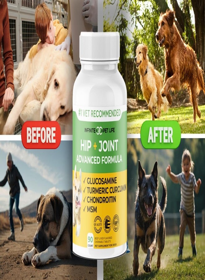 Infinite Pet Supplements مكمل غذائي متطور للورك والمفاصل للكلاب من جميع السلالات - جلوكوزامين لتحسين حركة الكلاب وتسكين الألم - مكمل غذائي طبيعي بالكامل للمفاصل يحتوي على الكوندرويتين، وMSM، والكركم - 90 قرصًا للمضغ - Image 2